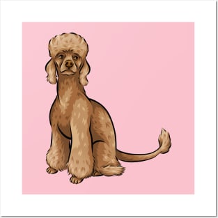 Cute Ginger Poodle Dog Posters and Art